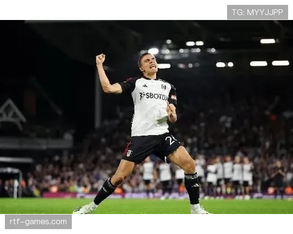 帕利尼亚英超抢断王级表现解析